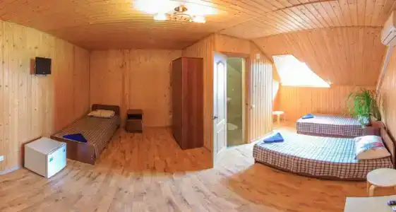 Виолетта - 25