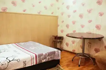 Черепаха - 29