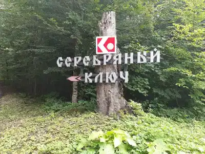 Серебряный ключ - 6