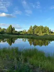 Земля Бобра - 15