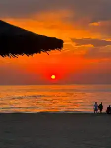 Paradise - 8