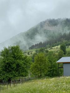 Guest House Kaldani - 20