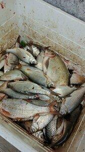 Усадьба Кузьмича - 21