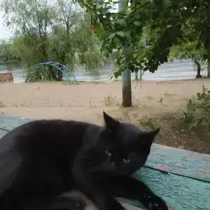 Бодрость - 5