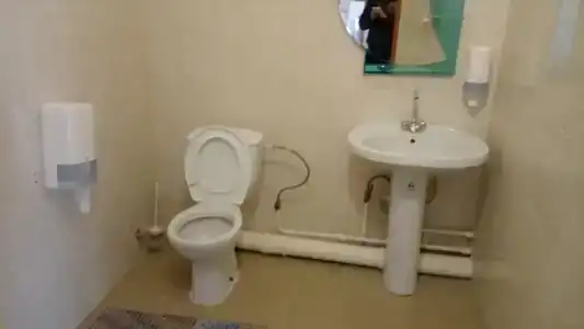 Светлый - 51