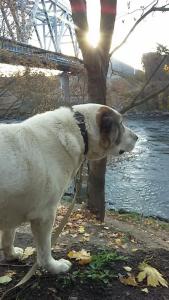 Угребись - 37