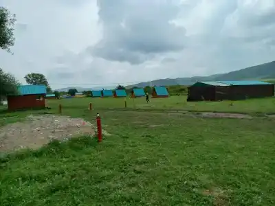Алтай Актив - 0