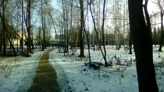 Звёздочка - 3
