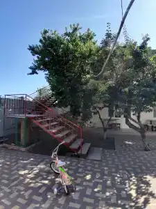 у Алексея - 25