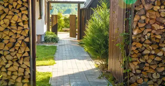 Беловежское Поместье - 4