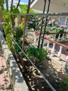 у Лены - 3