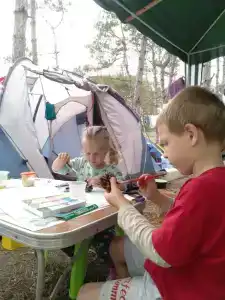 Сосновый бор - 49