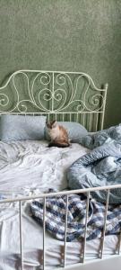Family_room - 34