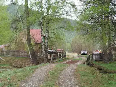 Аил - 31