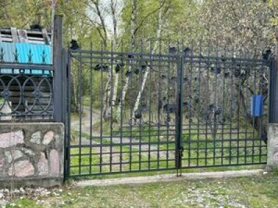 Клык - 43