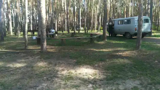 Авиатор - 23