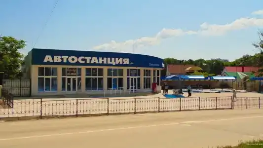 у Алины - 14