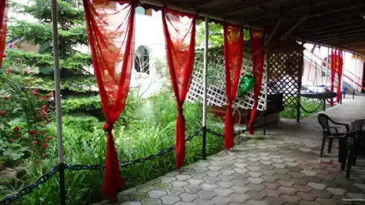 у Алины - 11