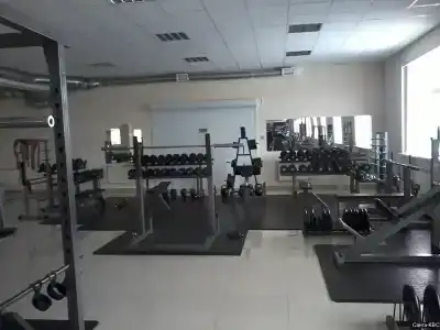 Диес - 78