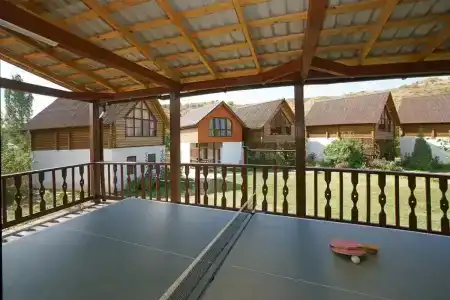 Зеленогорье - 9