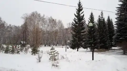 Детский легочно-туберкулезный санаторий - 29