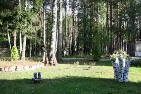 Трест грии - 12