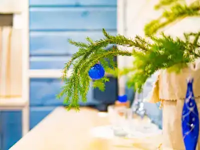Полярная Звезда - 42