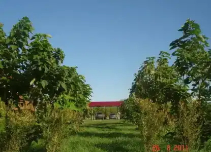 Волга-Волга - 9