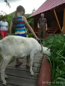 Усадьба Поповых - 42