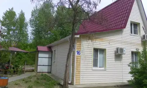 Осинки - 1