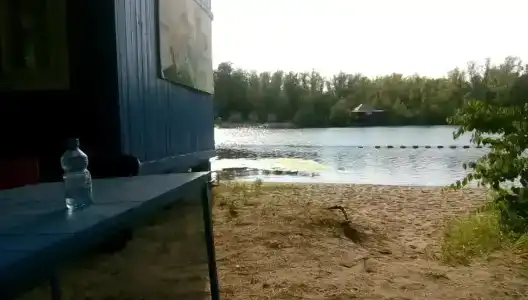 Бодрость - 22