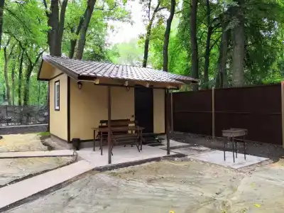 Ласточка - 6
