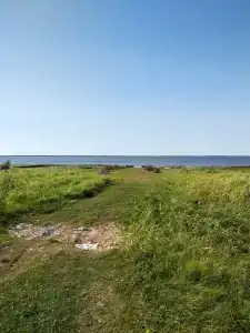 НовГУ - 37