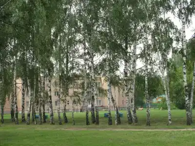 Полушкино - 15