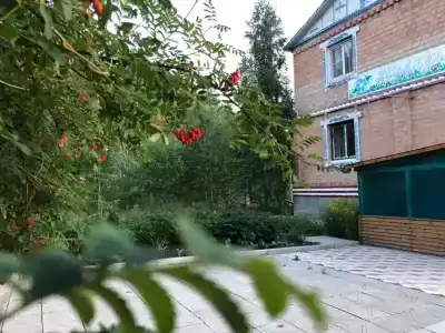 Незабудка - 1