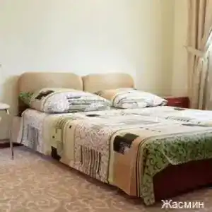 Жасмин - 5