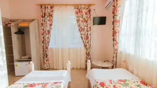 Профитто - 17