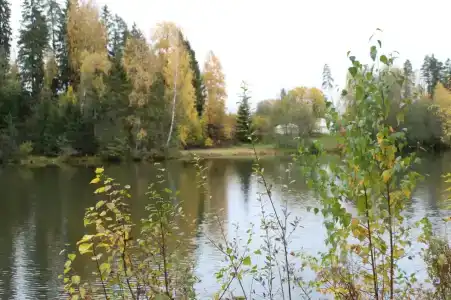Озёрный - 28