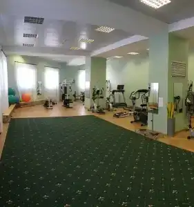 Энергетик - 38