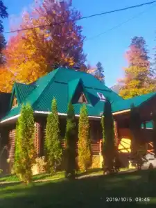 Лесной дом - 10
