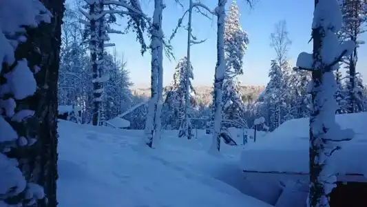 SMART на Горе - 46