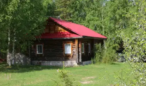 Подсолнухи - 11