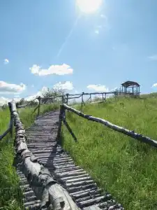 Товарищ - 1