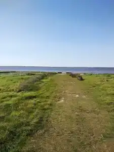 НовГУ - 5