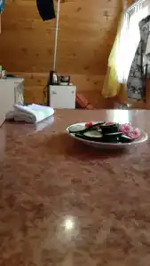 Солнечный - 27
