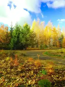 Юбилейный - 23