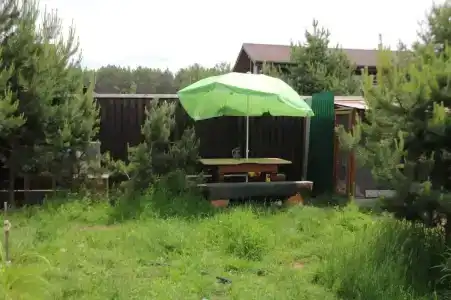 Незабудка - 4