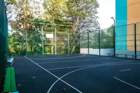 Шепси - 29