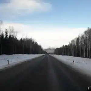 Тайга - 2