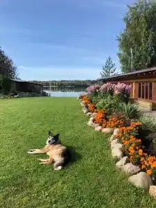 Экотель - 12